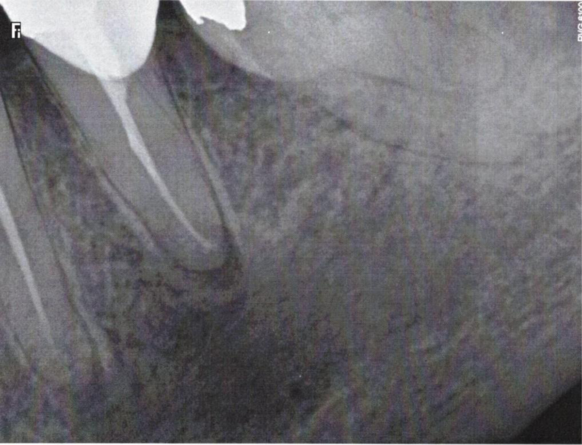 Fig. 2 Refer to the following caption and surrounding text.