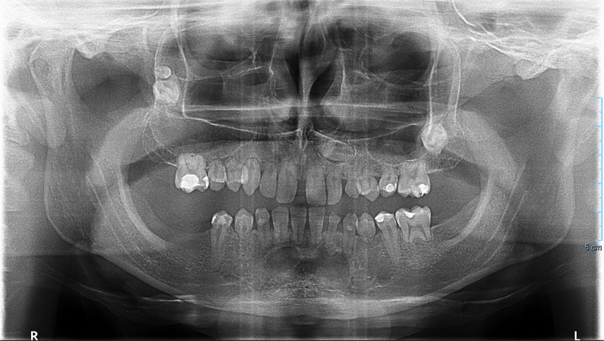 Fig. 3 Refer to the following caption and surrounding text.