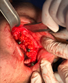 Thumbnail: Fig. 3 Refer to the following caption and surrounding text.