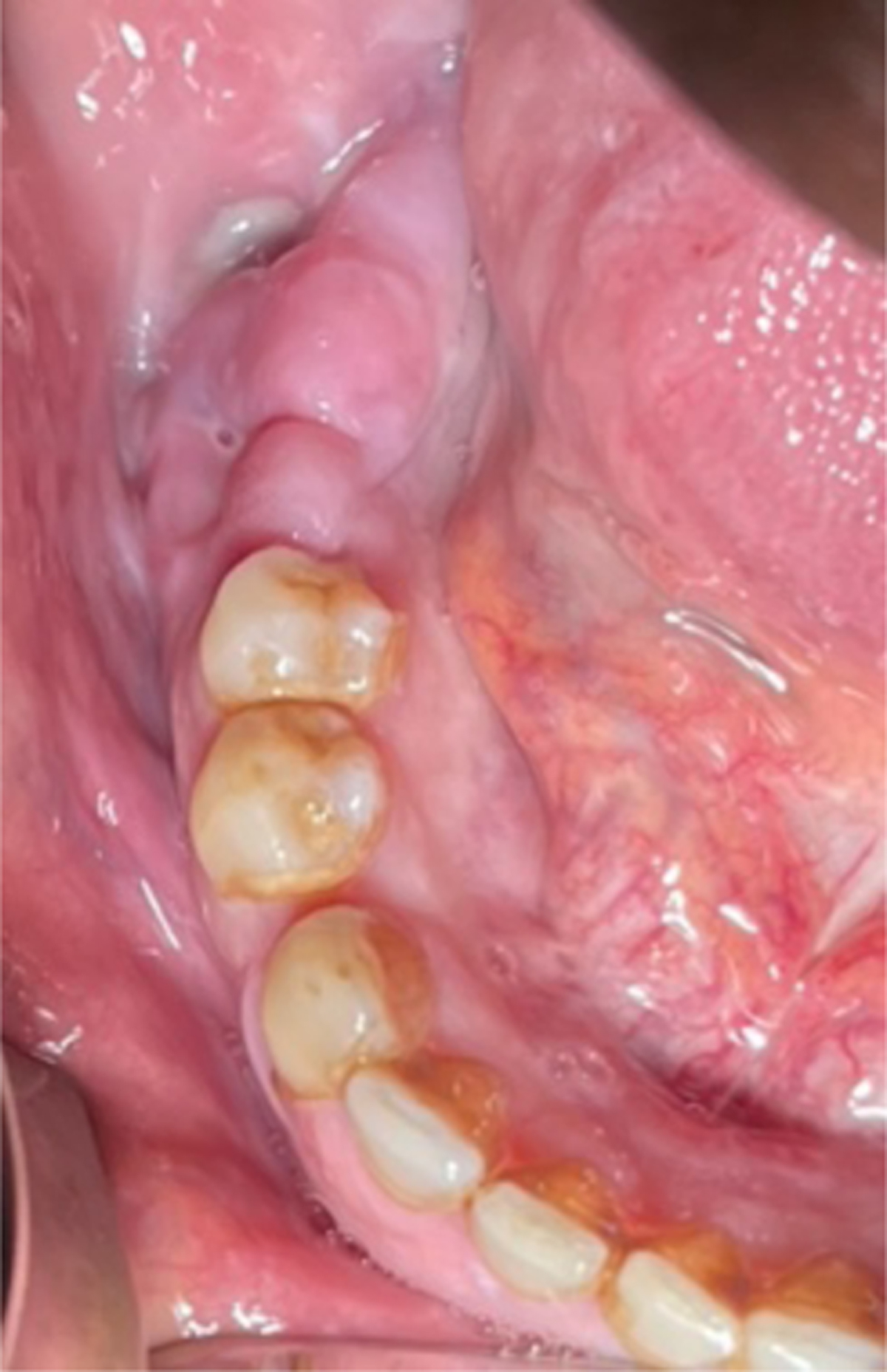 Fig. 1 Refer to the following caption and surrounding text.