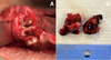 Thumbnail: Fig. 4 Refer to the following caption and surrounding text.